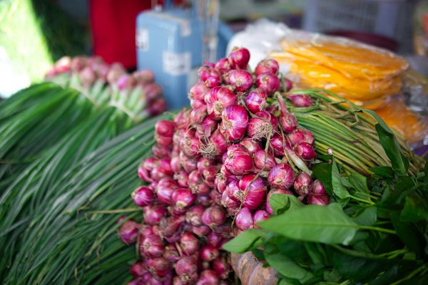 Boutique en ligne pour la santé et le bien-être - sante bio europe : découvrez des produits bio et naturels